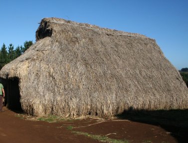 Ruca en la regi�n de Chol Chol en
                Araucania