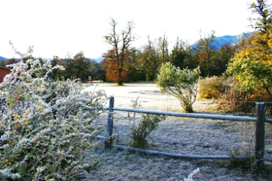 Raureif in Bariloche
                        in Patagonien