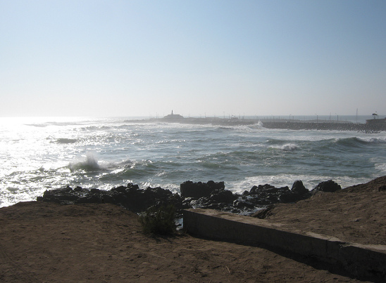Der Deich mit der Halbinsel und dem wilden
                    Meer