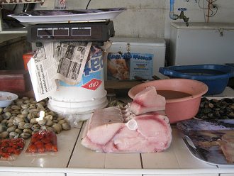 Fisch (01)