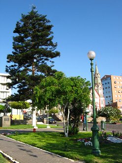Arbeiterplatz, eine Tanne 02