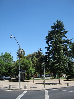 Avenida Compa�a de Jes�s y el parque
                        Brasil