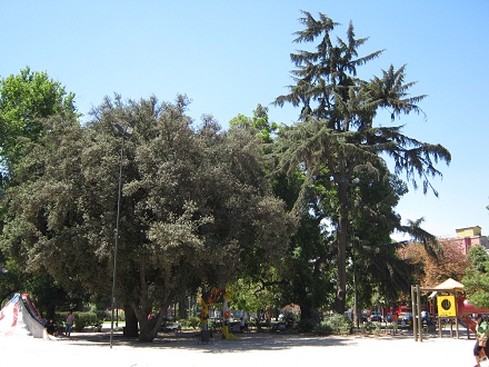 Plaza Brasil, parque infantil con un
                        castillo con �rboles