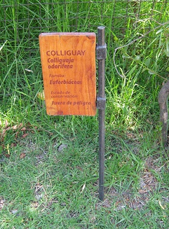 Tafel Colliguay