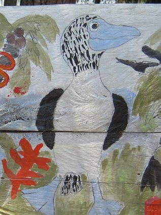 Vogel, Nahaufnahme