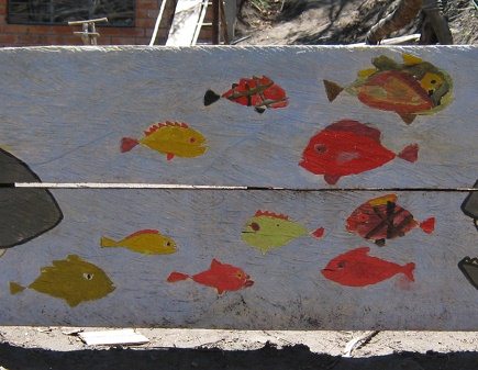 Fische, Nahaufnahme