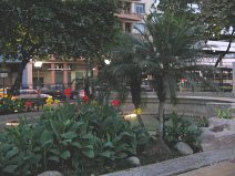 Guayaquil, Promenade 2000, ein
                                  Blumenbeet