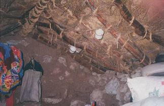 Dwelling
                      house 06: Cups hanging on the ceiling