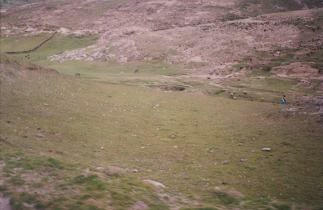 Stony pasture, an ind�gena with cattle