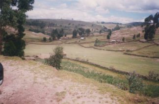 Field
                      walls