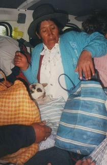 Ind�gena grandmother with a lamb on her
                      lap
