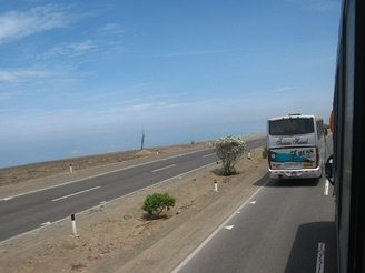 Z-bus 03