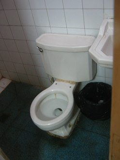 La tasa del ba�o