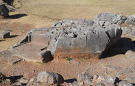 El campo ca�tico, trono fino, primer plano