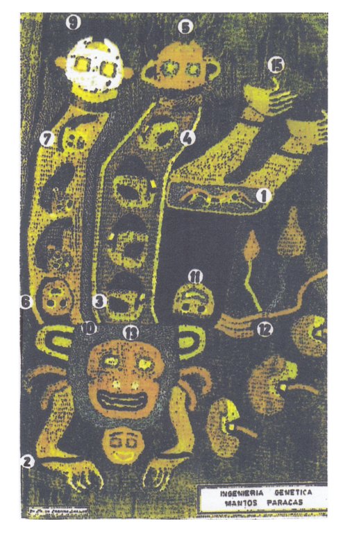 Fig.
                                86: el tejido de Paracas con la
                                ingenier�a gen�tica