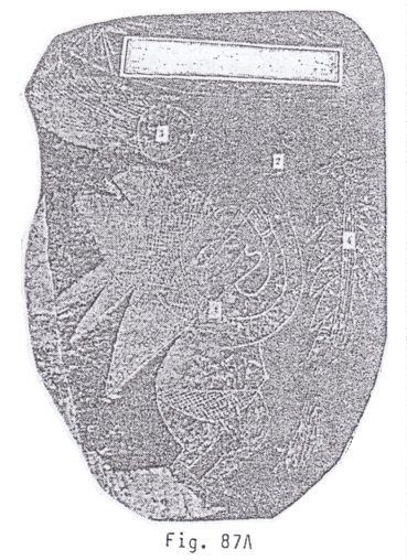 Fig. 87A con un
                            astr�logo 01