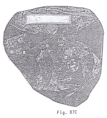 Fig. 87C con un
                            astr�logo 03