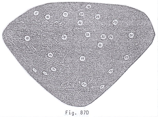 Fig. 87D: constelaci�n de
                          zodiacos
