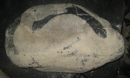 Dinosaurio joven (Brontosaurus o
                            Camarasaurus)