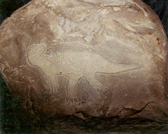 Dinosaurio (Tenentosaurus?)