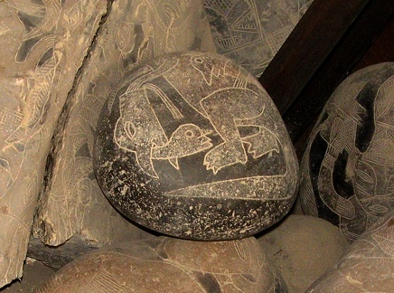 Saurios, sabios y lobo marino