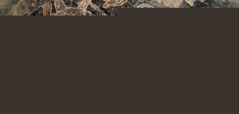 Sabio mata dinosaurio, primer plano