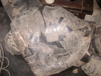 Operaci�n del h�gado 02