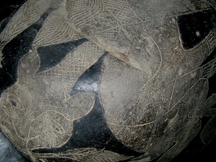 Cabeza de un murci�lago 01