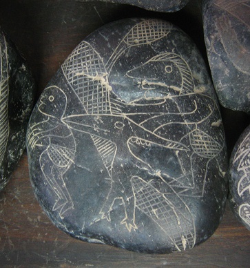 Dinosaurio volante
                            "Pteraranodon"
