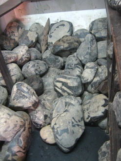 Piedras grabadas en el piso 01