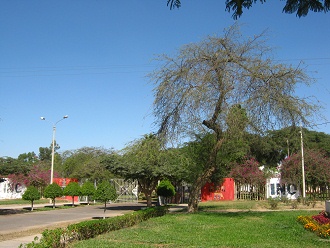 Entrance area of the museum with entrance
                          gate and wall 01