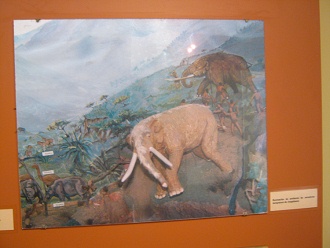 Culture of the hunters, natives hunting
                            trunked animals like elephants