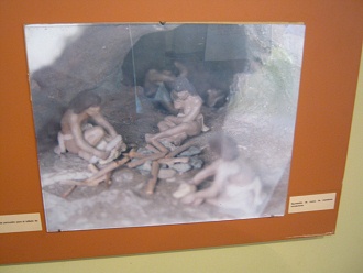 Life in caves