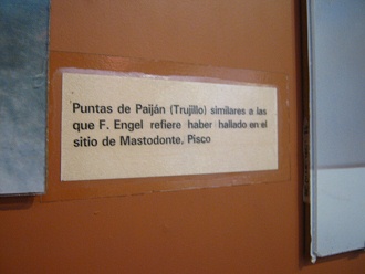 Text about the arrow heads: The
                            arrow heads were found at the archaeological
                            site of Paij�n in the region of Trujillo
                            [north of Peru]. They are similar to the
                            ones shown by [the archaeologist] F. Engel
                            who found the same kind of them at
                            Mastodonte in the region of Pisco [south of
                            Peru].