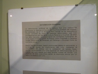 The text about deformed long skulls of
                            Paracas culture in Spanish