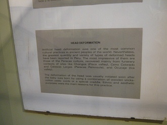 The text about deformed long skulls of
                            Paracas culture in English