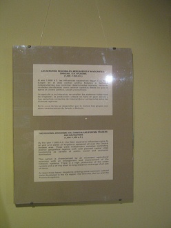 Textos sobre la cer�mica de la cultura
                            de Chincha en espa�ol y en ingl�s