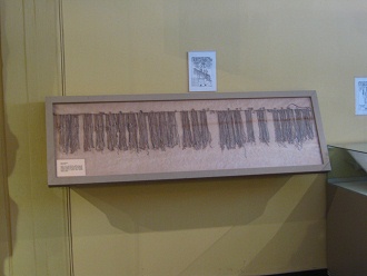 Showcase with talking knots
                                    ("quipus") 02