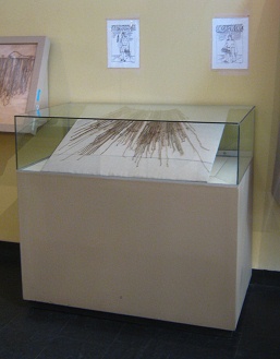 Second showcase with talking
                                    knots (quipus) of Inca culture
