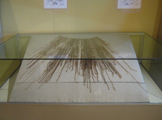 Second showcase with talking
                                    knots (quipus) of Inca culture,
                                    close-up