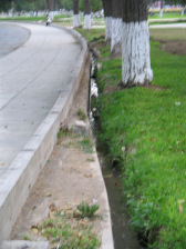 Jesus Maria, Park "Campo de
                          Marte", Wassergraben mit Wasser 01