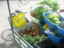 Miraflores: Gem�sestand an der Kreuzung
                          Porta / Manco Capac, Gem�se