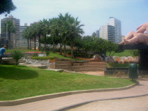 Miraflores, Park der Verliebten:
                          Palmenreihe