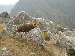 Cantera grande 01