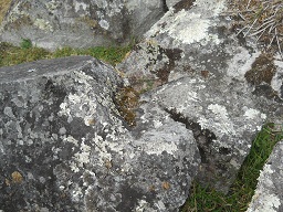 Cantera de Machu Picchu: piedra con superficie
                    plana y con �ngulos rectos, primer plano