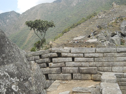 Machu Picchu, cuarto lateral: la vista sobre el
                    muro lateral con �rbol y terrazas del sector
                    agr�cola con la casita arriba