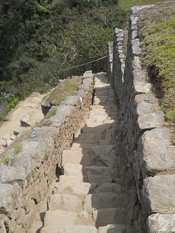 Machu Picchu, el camino que baja del pir�mide
                    solar a la plaza central