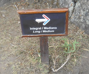 Placa indicador