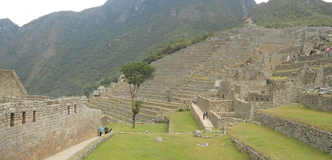 Machu Picchu: Vista de
                    la plataforma superior al muro grande con la plaza
                    central, con el �rbol y con el sector agricola