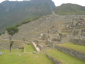 Machu
                    Picchu: Vista de la plataforma superior al �rbol y
                    con el sector agricola